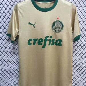 2024/2025 Palmeiras Third Away Jersey 1:1 Thai Quality