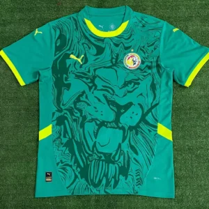 2024/2025 Senegal National Team Away Football Shirt 1:1 Thai Quality