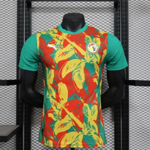 2024/2025 Player Version Senegal National Team Training Wear Football Shirt 1:1 Thai Quality