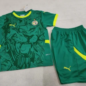 2024/2025 Senegal National Team Away Football Shirt 1:1 Thai Quality Kids Size