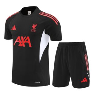 Liverpool 2024-2025 Season Training Kit