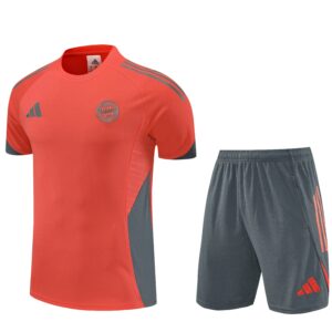 Bayern Munich 2024-2025 Training Kit Set