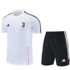 Juventus 2024-2025 Training Suit Set