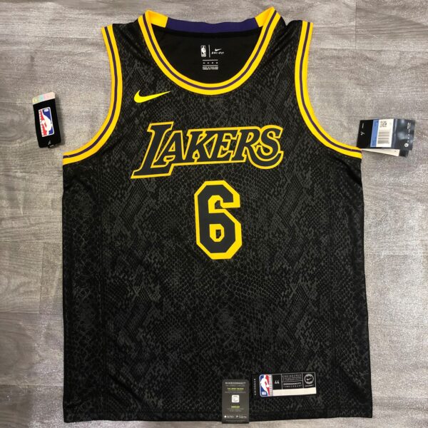 Camiseta no 6 do LeBron James do Los Angeles Lakers, temporada 2023-2024